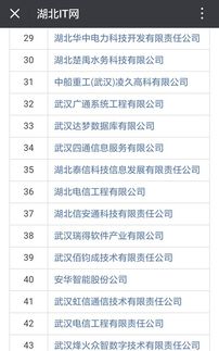 祝賀湖北47家企業(yè)成功通過信息系統(tǒng)集成資質壹級與貳級認證